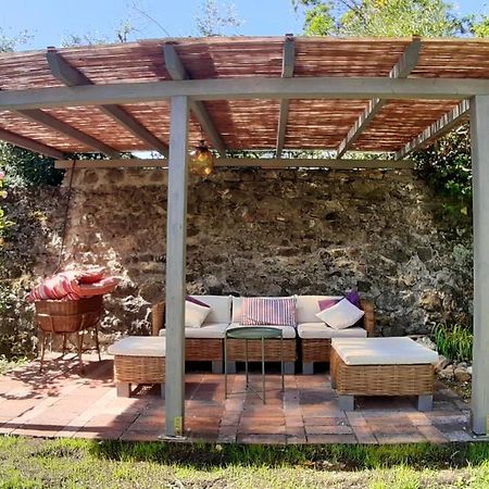 Villa Casa di Leo with pool Radicondoli Esterno foto