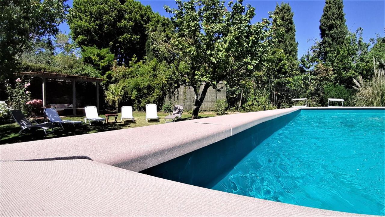 Villa Casa di Leo with pool Radicondoli Esterno foto