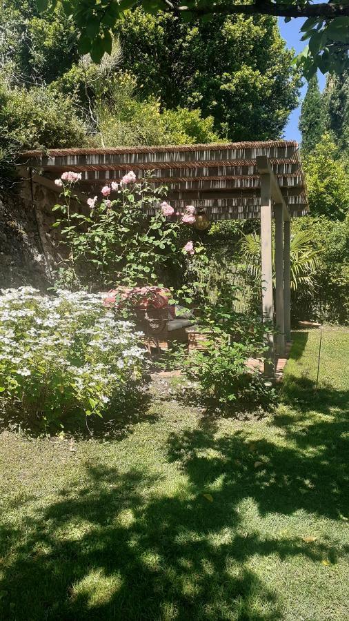 Villa Casa di Leo with pool Radicondoli Esterno foto